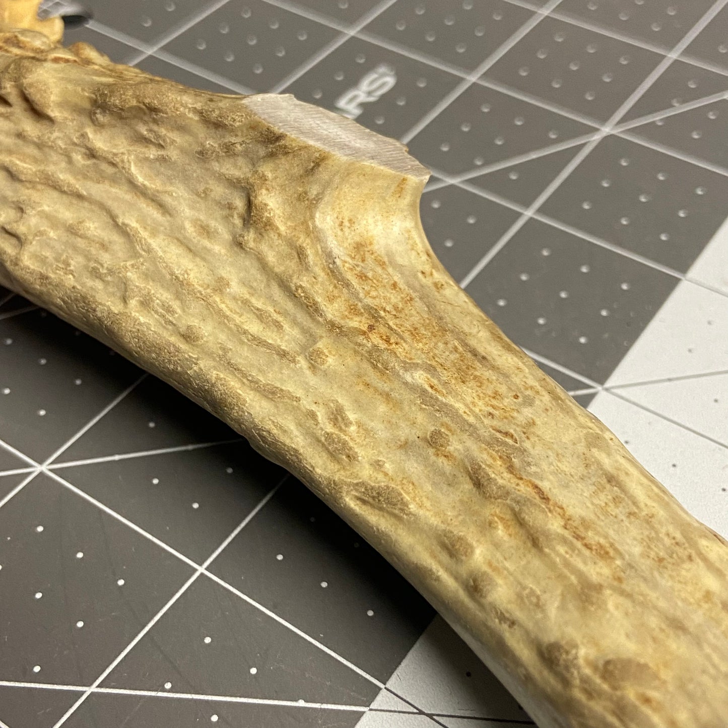 Antler Knife Handle Blank