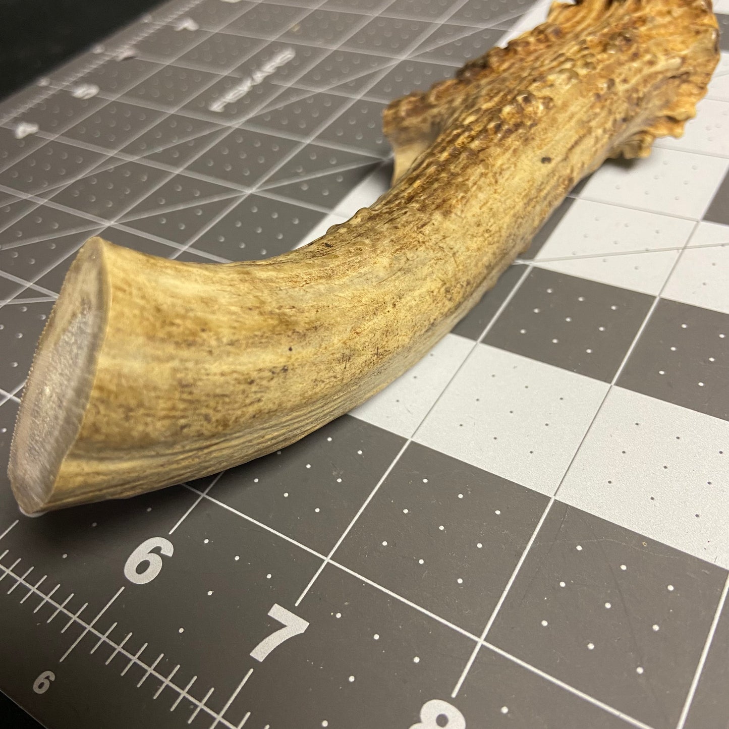 Antler Knife Handle Blank