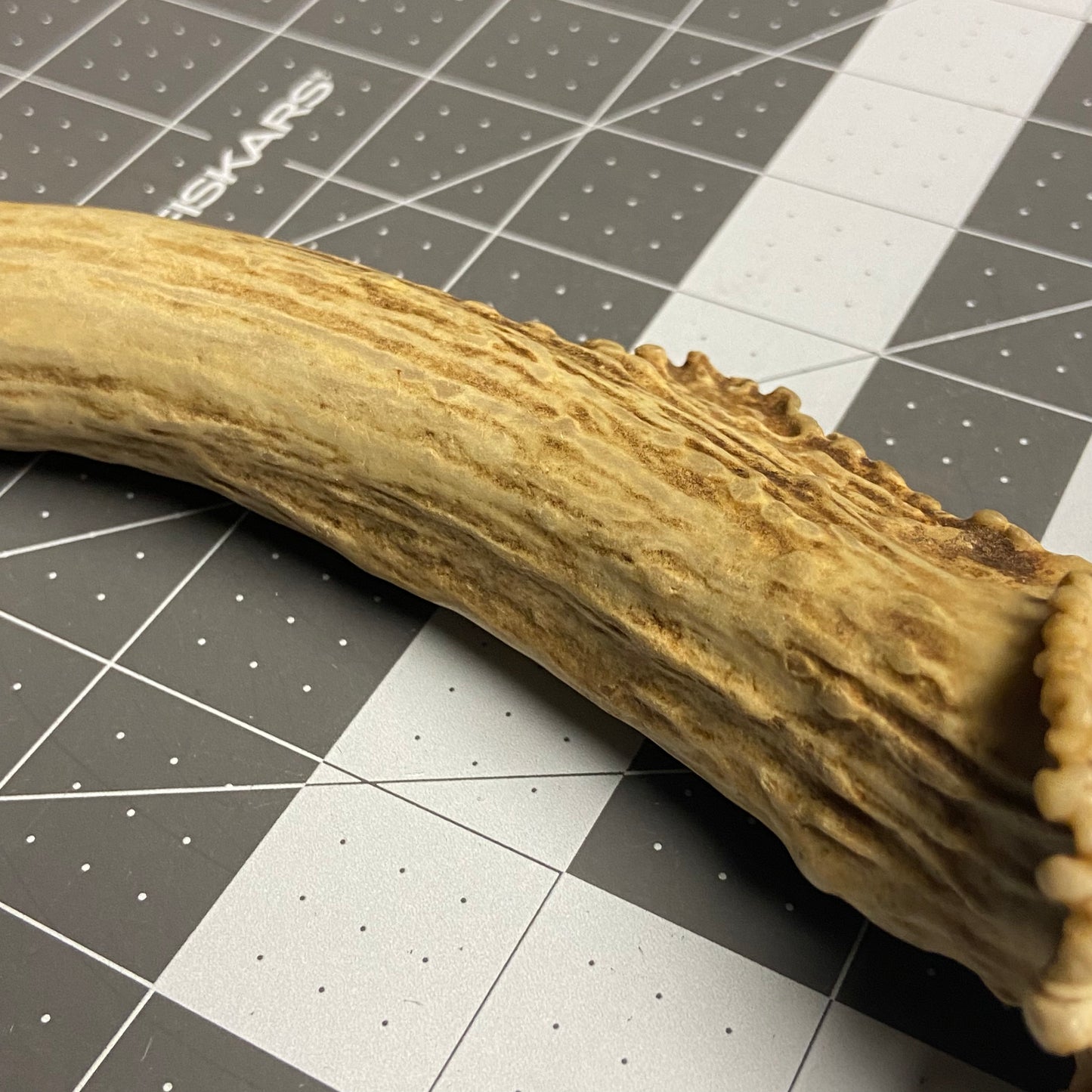 Antler Knife Handle Blank