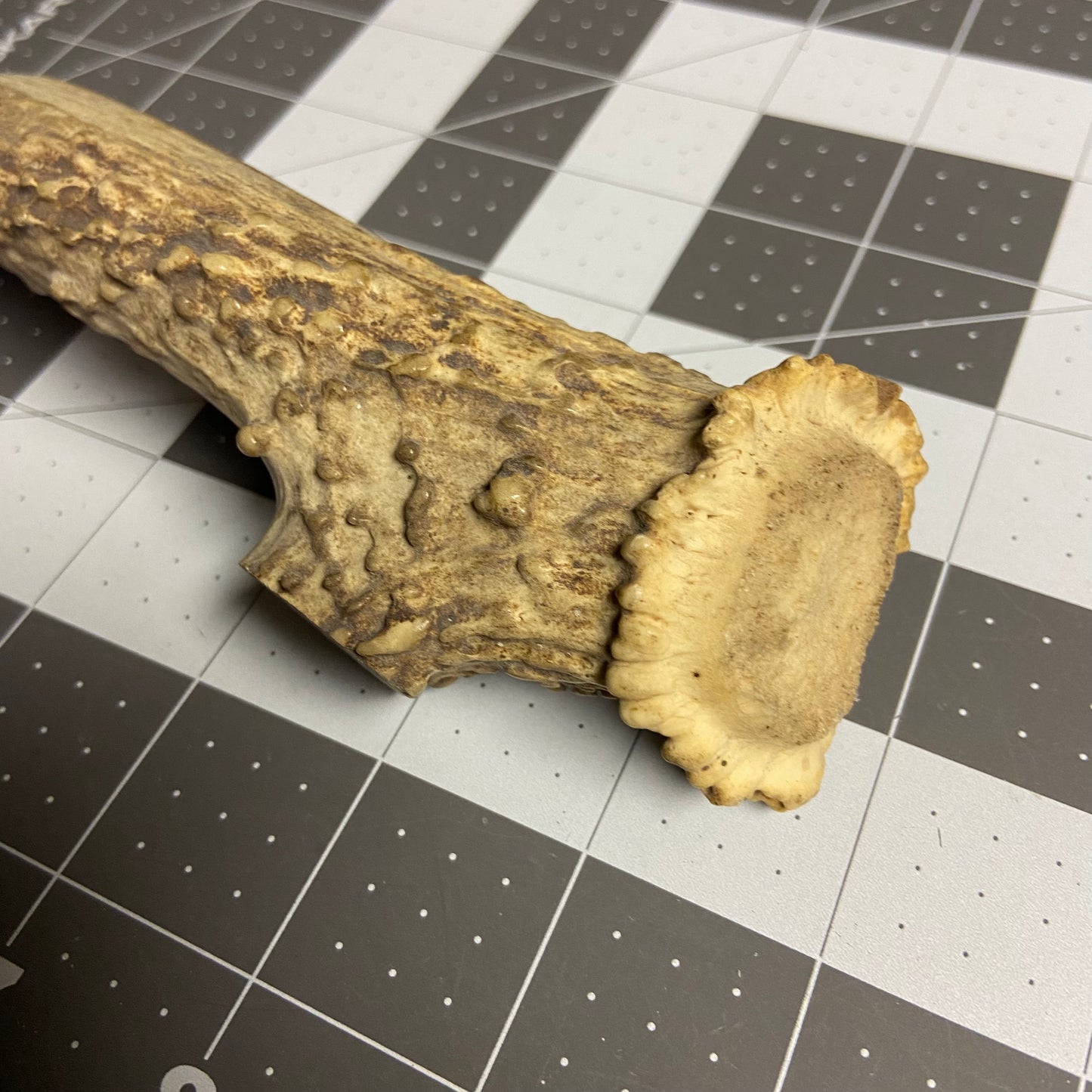 Antler Knife Handle Blank