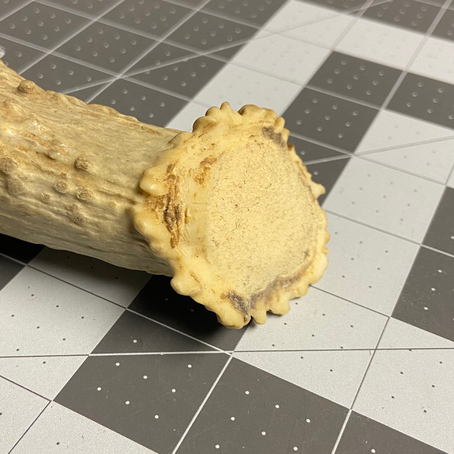 Antler Knife Handle Blank