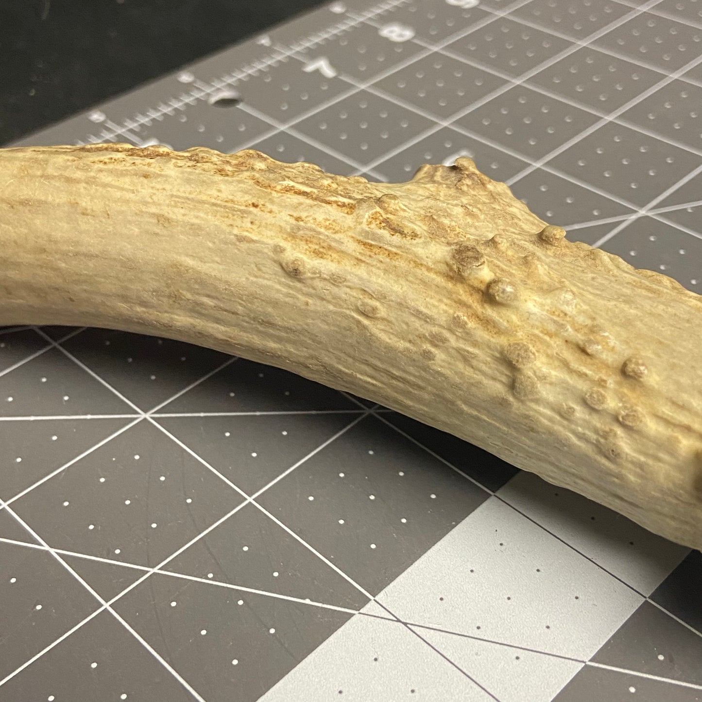 Antler Knife Handle Blank