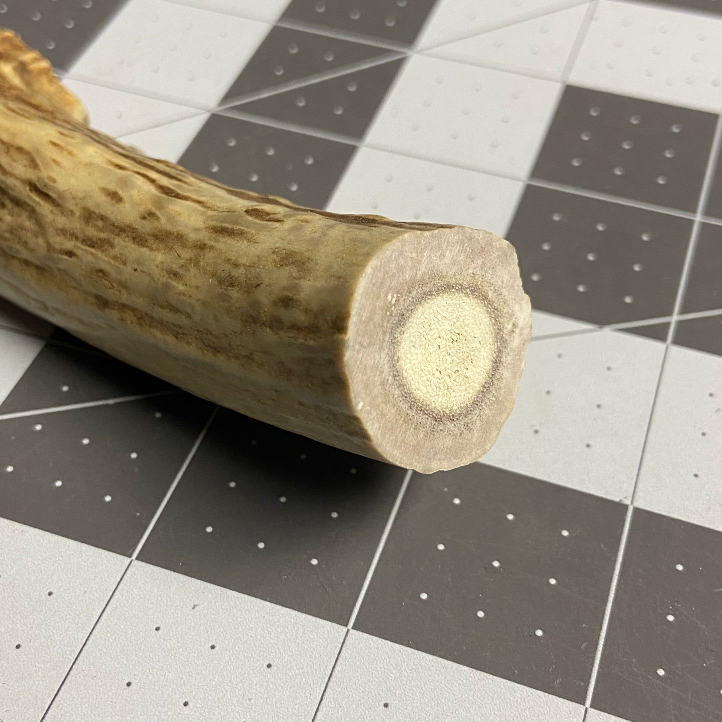 Antler Knife Handle Blank