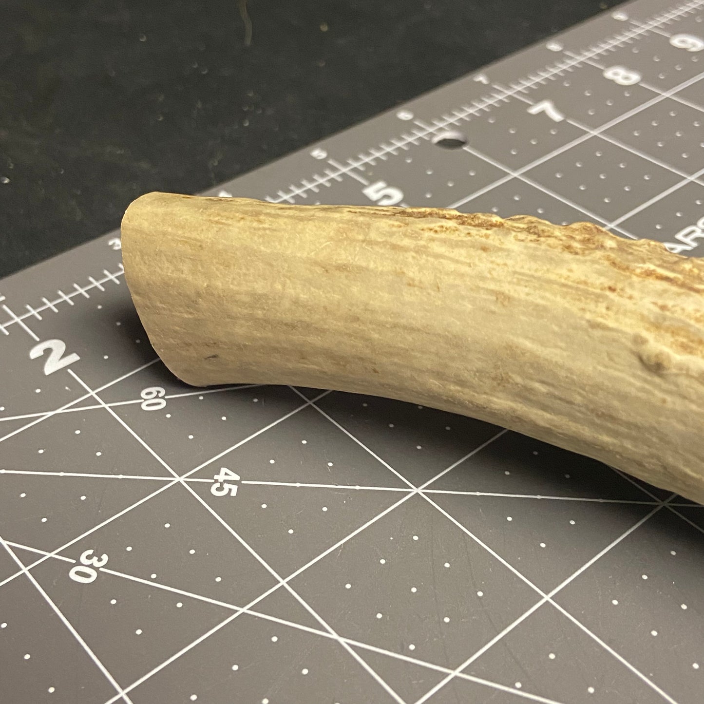 Antler Knife Handle Blank