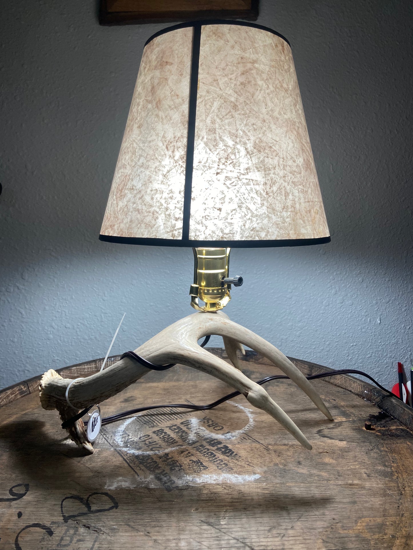 Real Antler Lamp