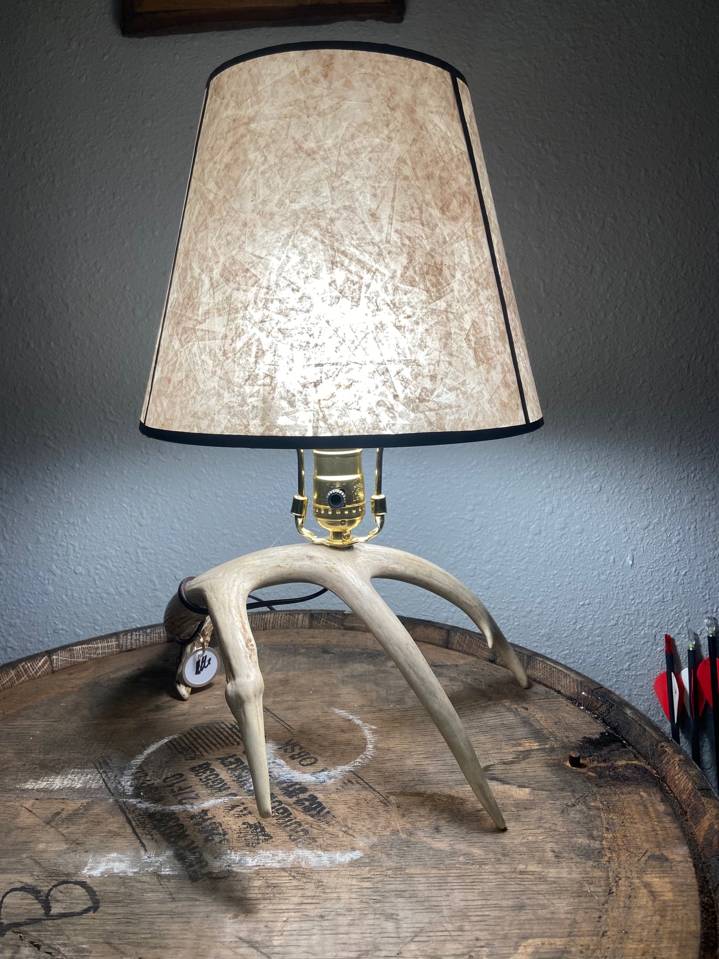 Real Antler Lamp