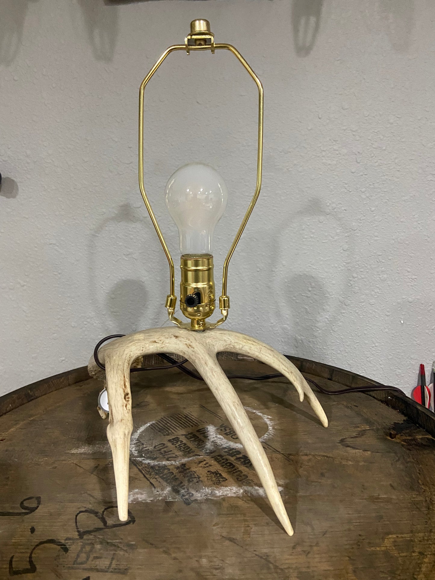 Real Antler Lamp