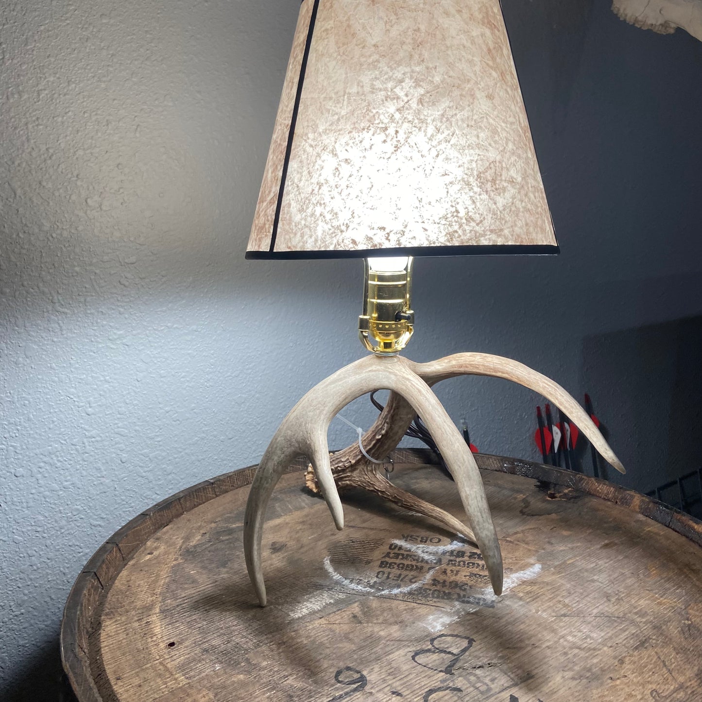 Real Antler Lamp