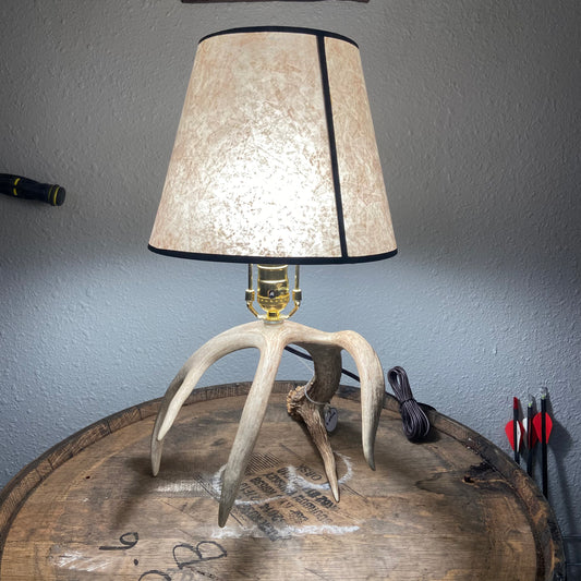 Real Antler Lamp