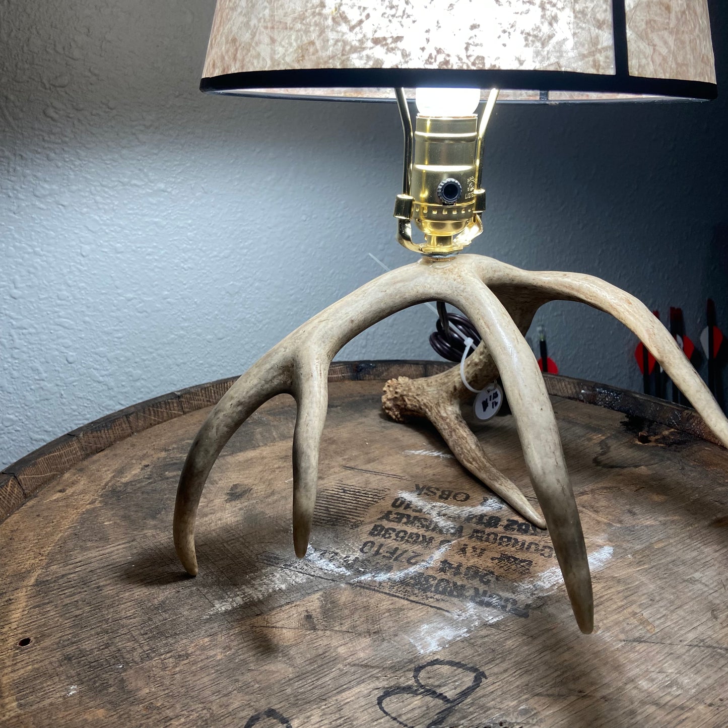 Real Antler Lamp