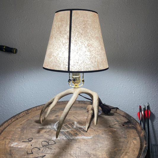 Real Antler Lamp